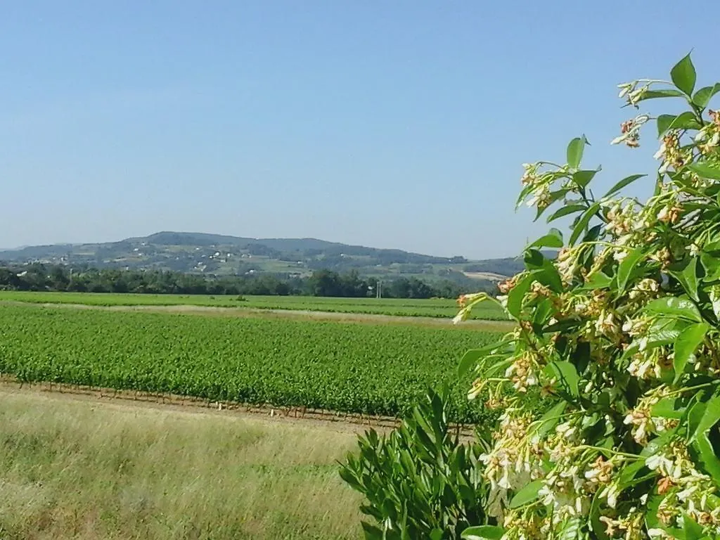 Logis Hotel La Bastide Des Monges Ньон